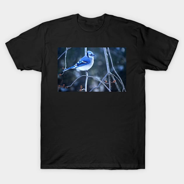 Bluejay T-Shirt by LaurieMinor